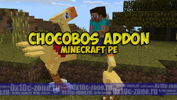 Chocobos Addon для Minecraft PE